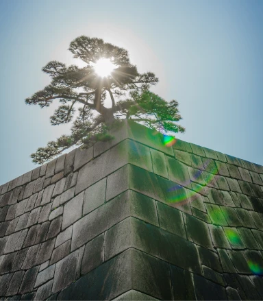 Rumo Capital - Consultoria